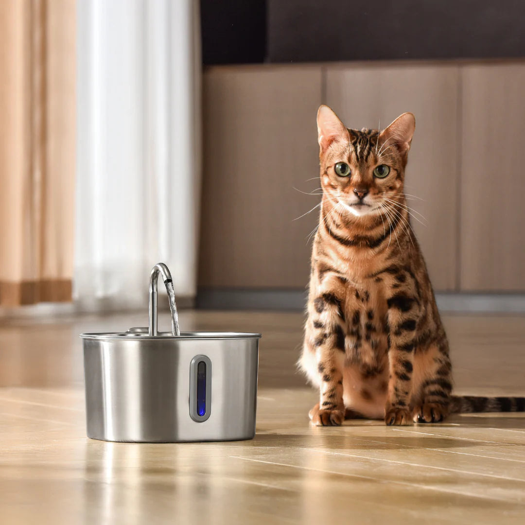 Schützen Sie Ihre Katze vor Dehydrierung und Harnnotfällen mit Velvetine.