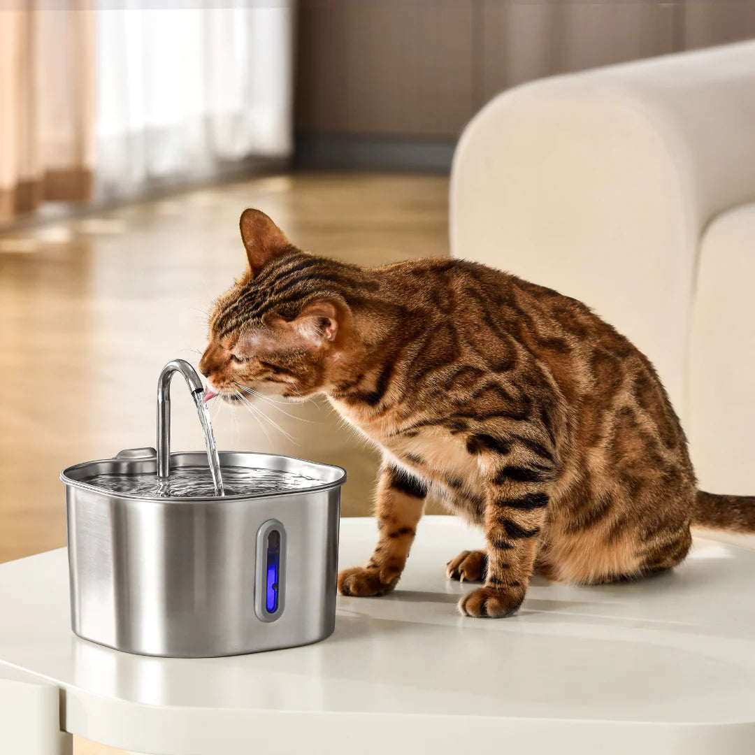 Schützen Sie Ihre Katze vor Dehydrierung und Harnnotfällen mit Velvetine.