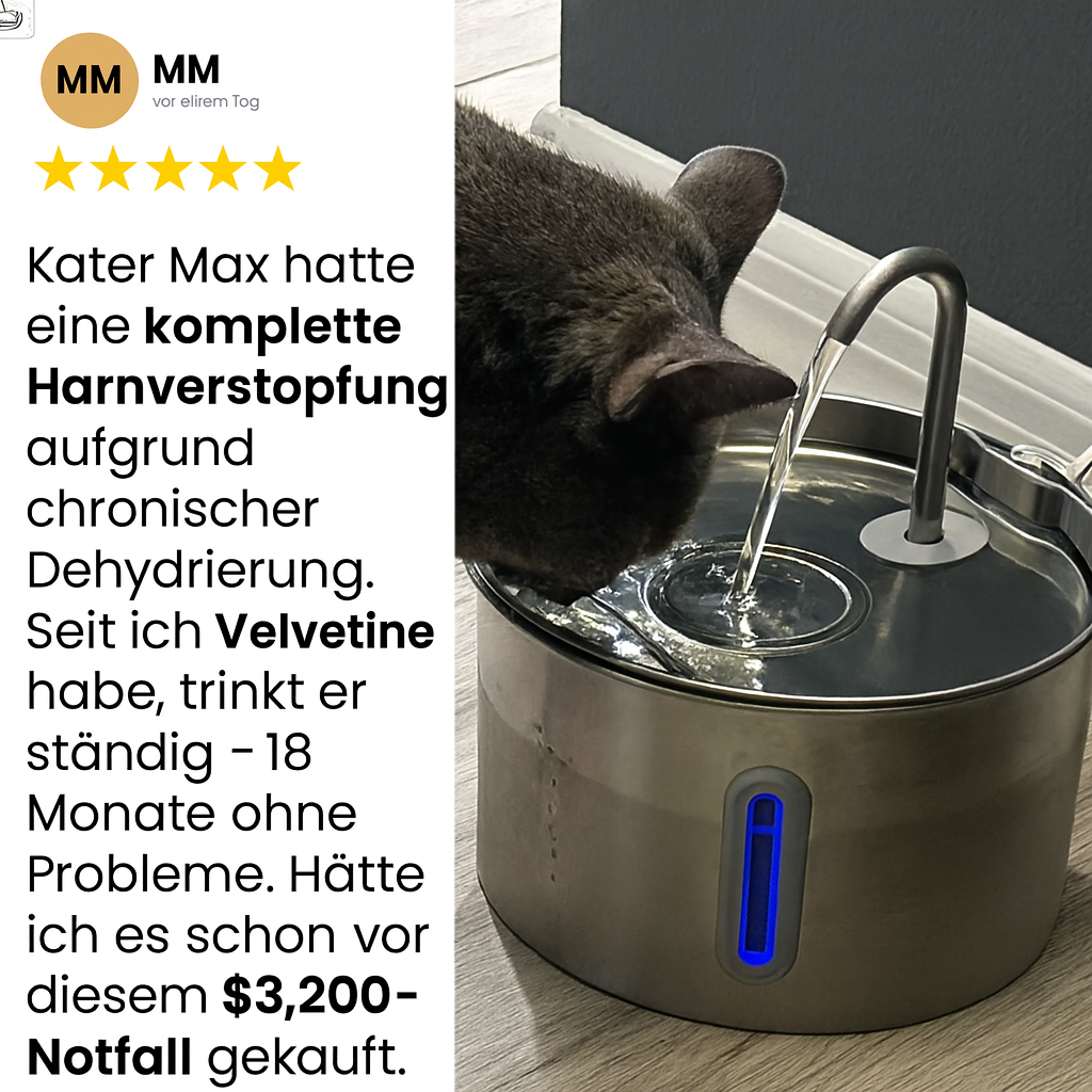 Schützen Sie Ihre Katze vor Dehydrierung und Harnnotfällen mit Velvetine.