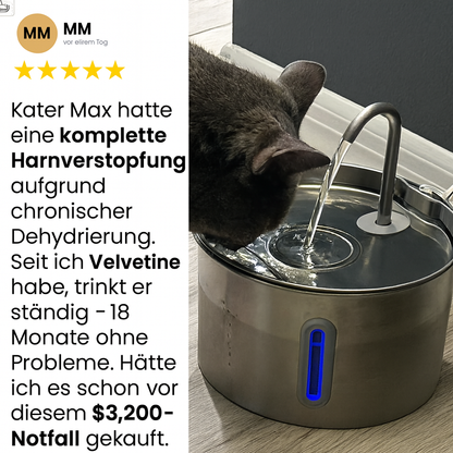 Schützen Sie Ihre Katze vor Dehydrierung und Harnnotfällen mit Velvetine.